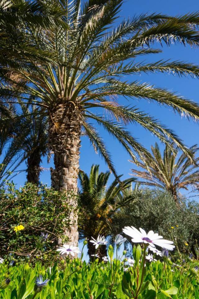 Villa Authentic Cretan Stone Windmill Sitia  Exterior foto