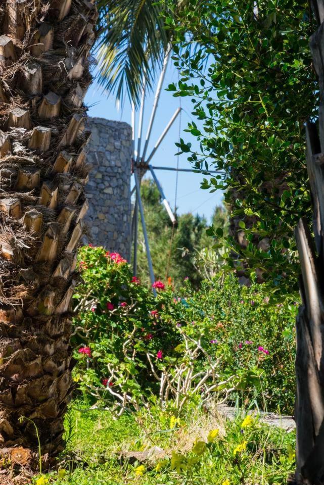 Villa Authentic Cretan Stone Windmill Sitia  Exterior foto